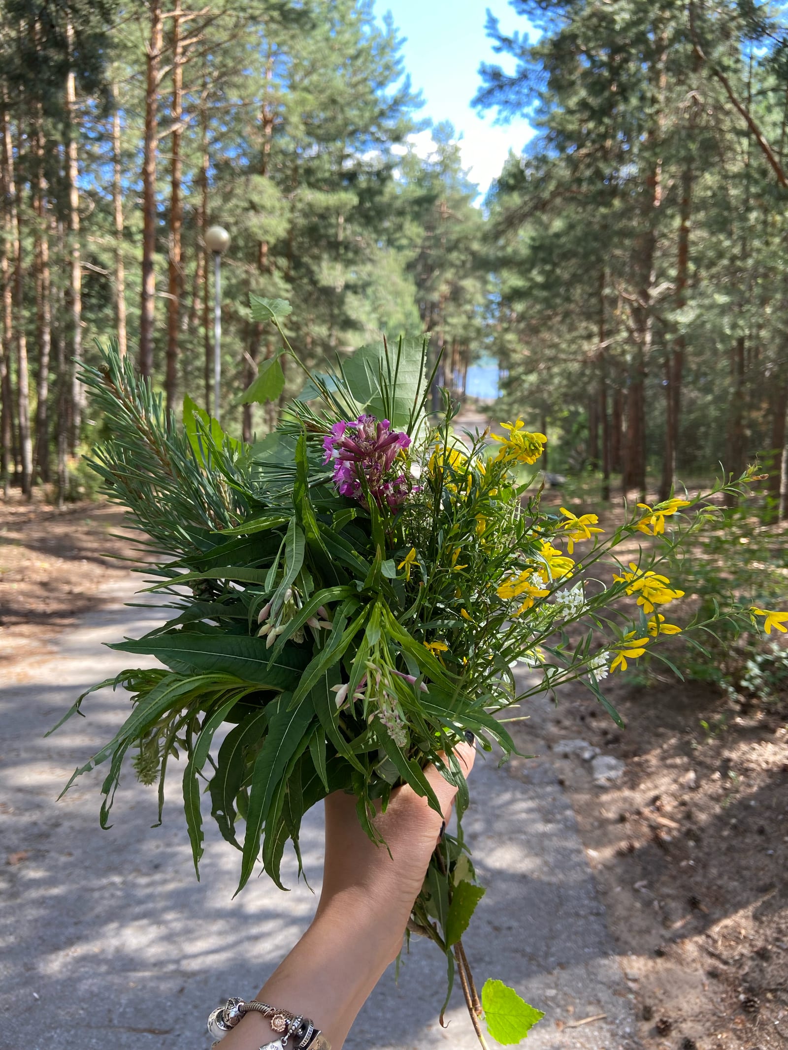 Фотография из статьи