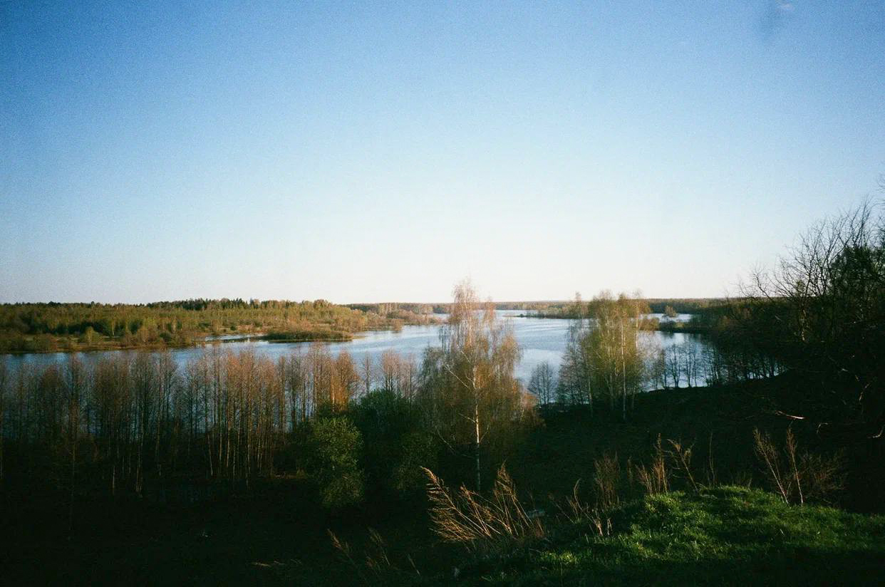 Фотография из статьи