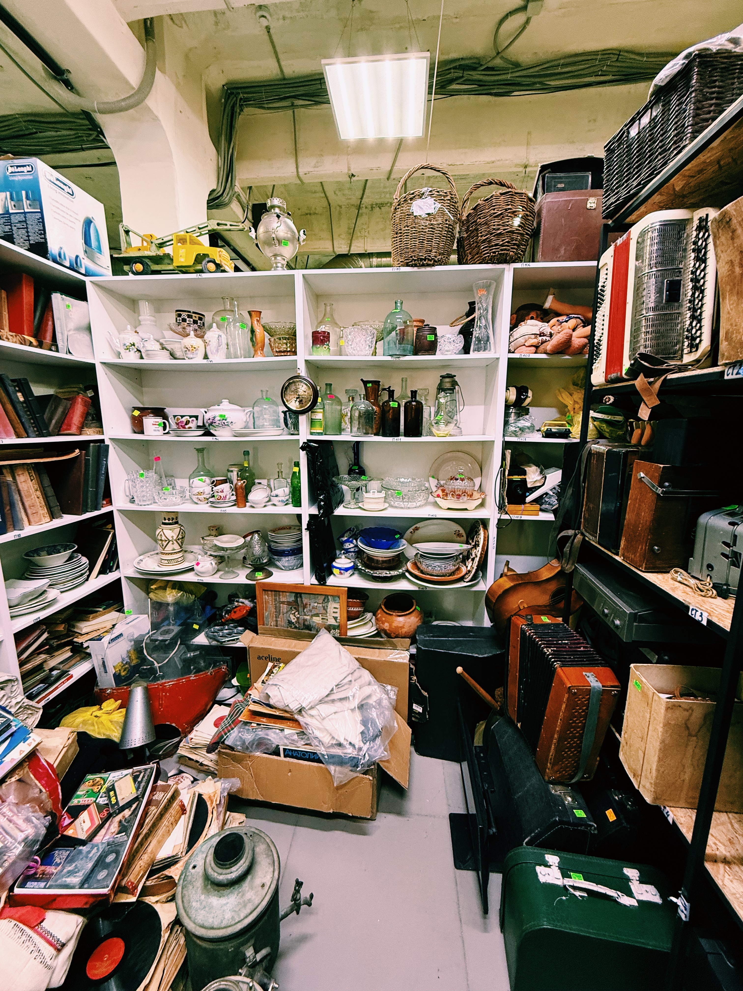 Фотография из статьи 1