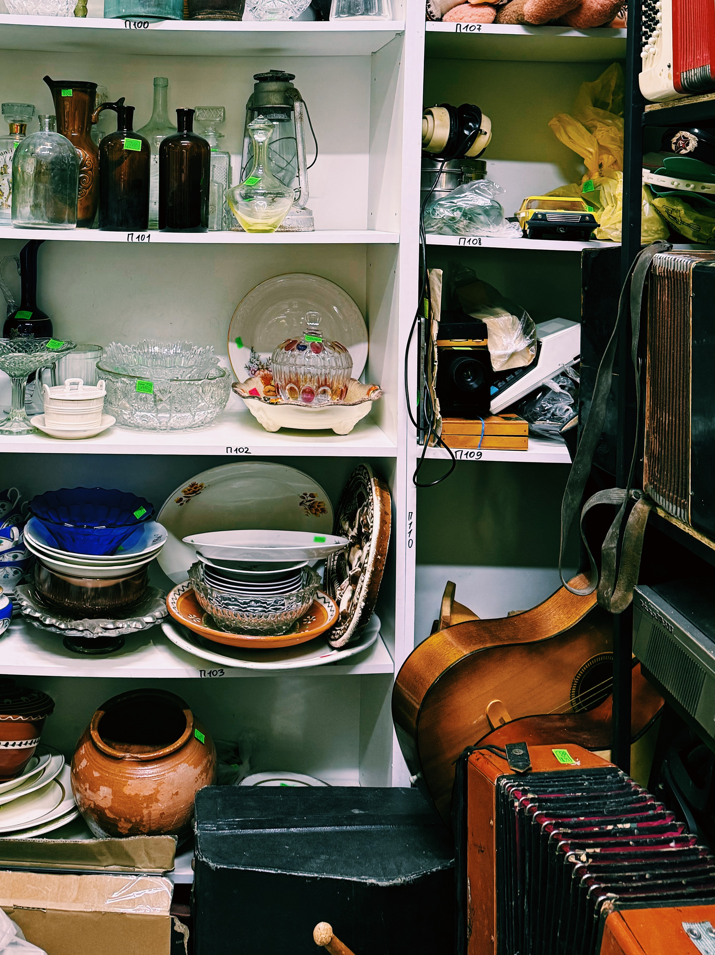 Фотография из статьи 2