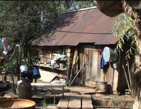 Фотография из статьи